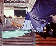 Contrary Properties 03 25 x 30